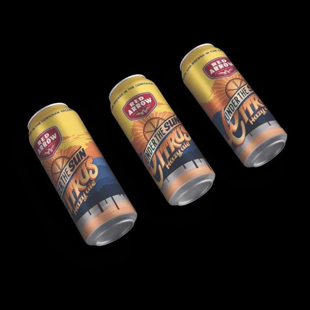 Wr Sun Scout Hazy Ale